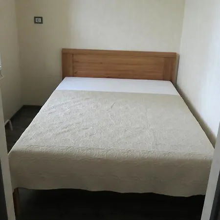 Cat Garden Superior Riga