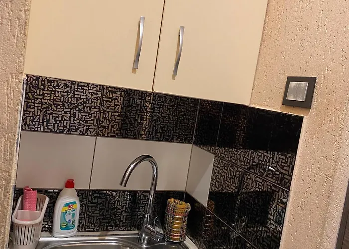 Cat Garden Superior Рига