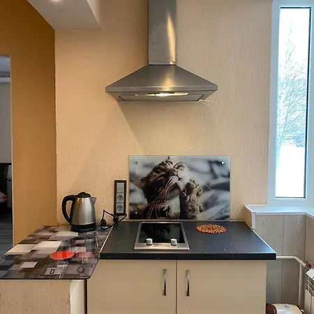 Cat Garden Superior Riga