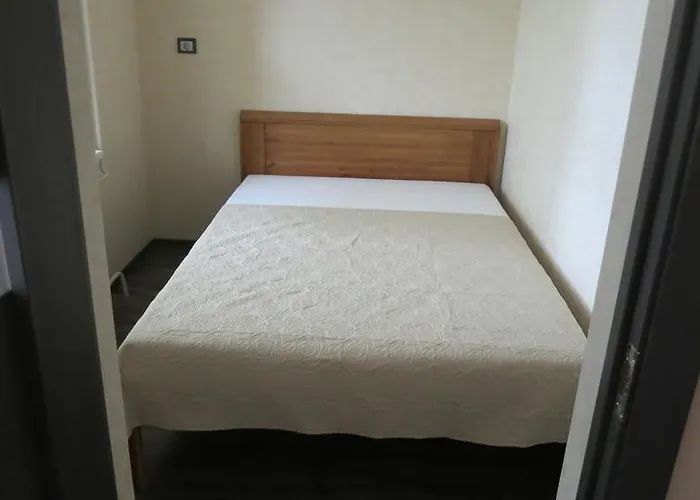 Cat Garden Superior Riga