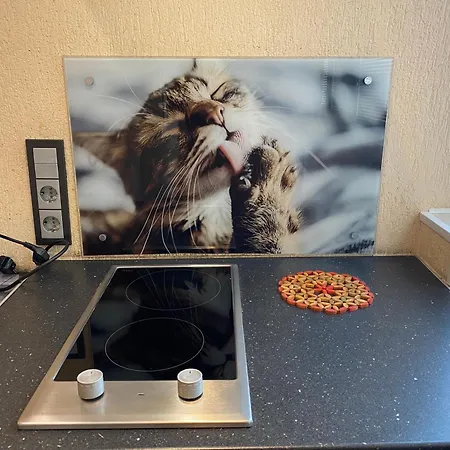 Cat Garden Superior